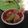 ロボット刑事's cooksnap of when they made 材料2つ！簡単揚げないメンチカツ.