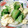 YAMAっち's cooksnap of when they made チンゲン菜と卵の簡単炒め.