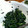 ゆっかりー９９'s cooksnap of when they made ほうれん草のり和え.