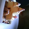 ゆうき46バイ's cooksnap of when they made 2008☆お菓子の家☆タージ・マハル.