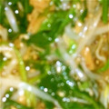 ととろママちゃん's cooksnap of when they made ホウレン草となめ茸と大葉の簡単和え物～.