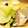 てんてんたん's cooksnap of when they made レンジでできる♪タラと大根の旨煮.