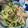 うーかーぶーか's cooksnap of when they made 柚子胡椒香るキュウリとえのきの和え物.