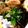 ☆笑くぼ☆'s cooksnap of when they made 混ぜるだけ！ほうれん草とじゃこおかか.