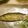 olive11's cooksnap of when they made 鮎の塩焼き.