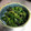 にゃ～けい's cooksnap of when they made ほうれん草の胡麻和え☆.