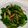 Rachelblye's cooksnap of when they made ランチ！ほうれん草のオイスターソース和え.