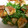 いとーちゃん。's cooksnap of when they made 【SE】ささ身の揚げ焼き　しそ風味.
