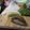 ひろみつばち's cooksnap of when they made みかん大福.