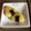 しょむたん's cooksnap of when they made お弁当に☆じゃがいもおにぎり♪.