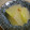 てーぶるすぷーん's cooksnap of when they made おいしい！冬瓜のお漬物.