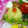 アイスママ's cooksnap of when they made さつま芋と林檎の茶巾絞り.