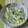 あてきち's cooksnap of when they made 水菜とりんごとカリッとくるみのサラダ♬.