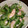 malanao's cooksnap of when they made 海老とゴーヤの和え物　千龍風.