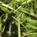 zipnzippy's cooksnap of when they made 超簡単！水菜とわかめの和風あえ☆.