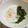 ☆ジュリエット☆'s cooksnap of when they made 簡単！節約！ほうれん草ココット！.