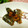 tea's cooksnap of when they made 旬！！秋刀魚のさっぱり煮(^.^).