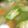 みんちニコニコ's cooksnap of when they made ウインナーとおくらのスープ.