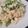 えびこ☆'s cooksnap of when they made 簡単！そうめんチャンプル.