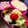ＲＫまま's cooksnap of when they made ★お弁当 薄焼き卵の飾り切り 花たまご★.
