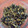 クックKS4M7F☆'s cooksnap of when they made 簡単でビタミンたっぷり大根菜のふりかけ.