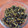 クックKS4M7F☆'s cooksnap of when they made 簡単でビタミンたっぷり大根菜のふりかけ.