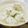 Laduree's cooksnap of when they made ＊夕飯＊蓮根たっぷり鶏肉だんごのあんかけ.