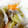 uomaru's cooksnap of when they made 白菜と豚肉の炊いたん.
