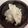 悠子ママ's cooksnap of when they made れんこんのすだちマヨサラダ.