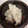 悠子ママ's cooksnap of when they made れんこんのすだちマヨサラダ.
