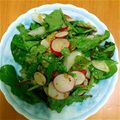 やこご's cooksnap of when they made 簡単、ラディッシュとベビーリーフのサラダ.