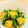 yuK:'s cooksnap of when they made 塩糀で作る柿と水菜のサラダ.