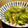 おかつぎ's cooksnap of when they made きゅうりの切り方～きゅうりの甘酢漬～.