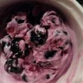 のあめろ♪'s cooksnap of when they made ブルーベリーのヨーグルトアイス.