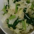 ぶーたーこー's cooksnap of when they made 小松菜✿白菜✿しらす✿さっぱり✿和え.