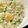 ♪gACha♪'s cooksnap of when they made 簡単！フライパンでエビピラフ.