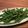 googoo1209's cooksnap of when they made いんげん豆のｶﾞｰﾘｯｸｿﾃｰ.