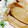 H1J1R1's cooksnap of when they made 簡単＊しょうが焼き.