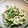 ありんこ☆★'s cooksnap of when they made レンジで簡単！ささみと胡瓜のサラダ.