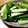 くぅmama's cooksnap of when they made 簡単☆きゅうりのゴマ炒め.