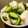 おかつぎ's cooksnap of when they made カブときゅうりのお漬物❁.