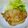 まんちとん's cooksnap of when they made 豚ロースのハニーマスタード.