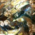 まかろん☆まかろん's cooksnap of when they made ＊ナスと鶏挽肉の柔らか煮＊.