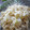 ♥孔燐♥'s cooksnap of when they made もやしとキャベツの粒マスタードマヨ和え.