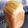 ♪おれんじ30♪'s cooksnap of when they made ♪HBで生地♪キャラメルMプリン食パン.