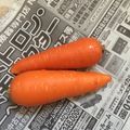 釣りバカ嫁's cooksnap of when they made 人参の保存.