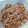 サリュフミ's cooksnap of when they made 混ぜるだけのちりめんじゃこの佃煮.