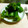 きっこひめ's cooksnap of when they made 【簡単！調理の技♪】ししとうの種の取り方.