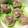 野菜っ仔's cooksnap of when they made 簡単しゅうまい.