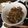 ぼーりー☆'s cooksnap of when they made 小間切れ肉de節約♪♪焼肉丼.